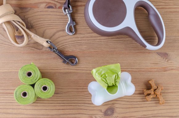 Accessoires pour chiens et chats