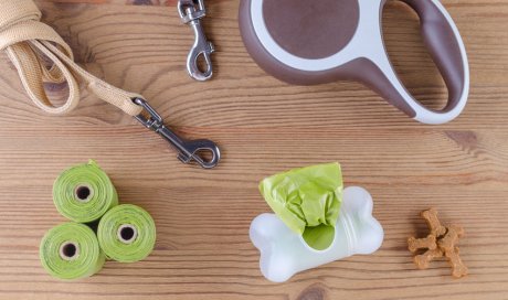 Accessoires pour chiens et chats